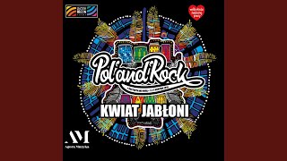 Video thumbnail of "Kwiat Jabłoni - Niemożliwe (Live)"