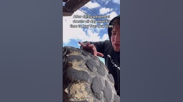 Donuts With The Polaris RZR...