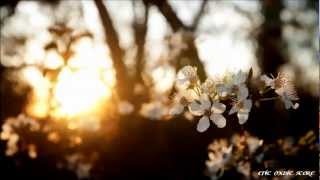 City of The Fallen - Forgiven | 1080p