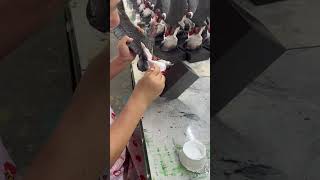 Hand Painting Resin Turkey Figurine | Thanksgiving Decoration OEM ODM Factory