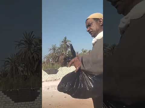 طلع البدر علينا الشيخ ياسين التهامي