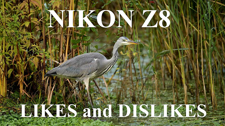 REVIEW of THE NIKON Z8 MIRRORLESS CAMERA - MY LIKES AND DISLIKES!