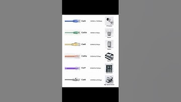 CAT CABLES!!! #ccna #cable