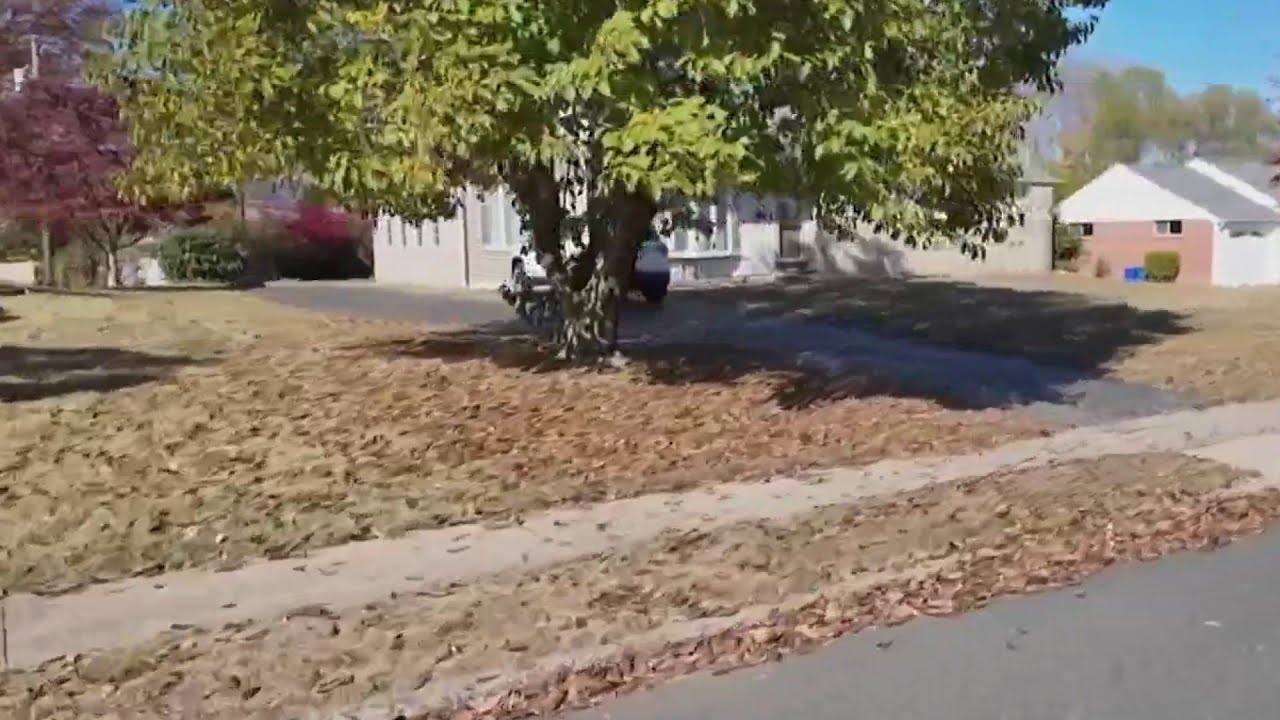 How the drought in the area is impacting lawns - YouTube