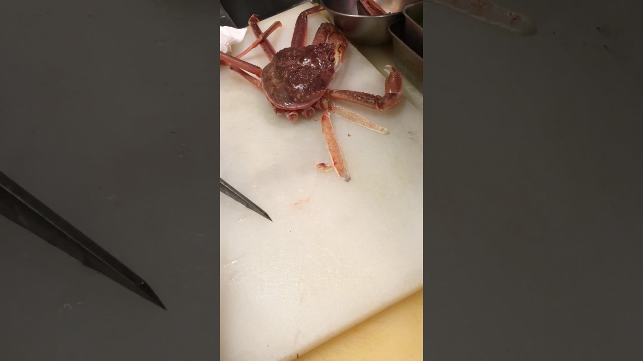 ズワイガニの捌き方 お刺身編 Youtube
