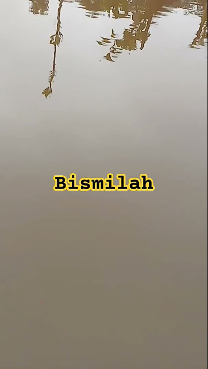 bismilah #motivation #quotes #motivasihidup #shortsviral #automobile #reels #youtube #shorts #viral