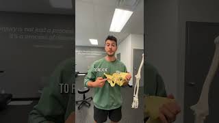 Say Goodbye To Hip Pinching Effective Techniques To Relieve Discomfort And Improve Mobility