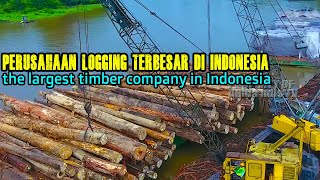 Dunia Kerja dunia ndis TV: Perusahaan Logging Indonesia