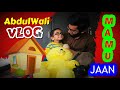 Abdul wali hussain playing with mamu vlog  jalali tv