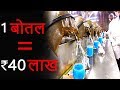 जानवरों से निकलने वाले 10 सबसे महंगे तरल | 10 Most Expensive Liquids Excreted By Animals