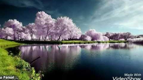 تلاوة رائعة وجميلة جداً للشيخ خالد الجليل من سورة الفرقان