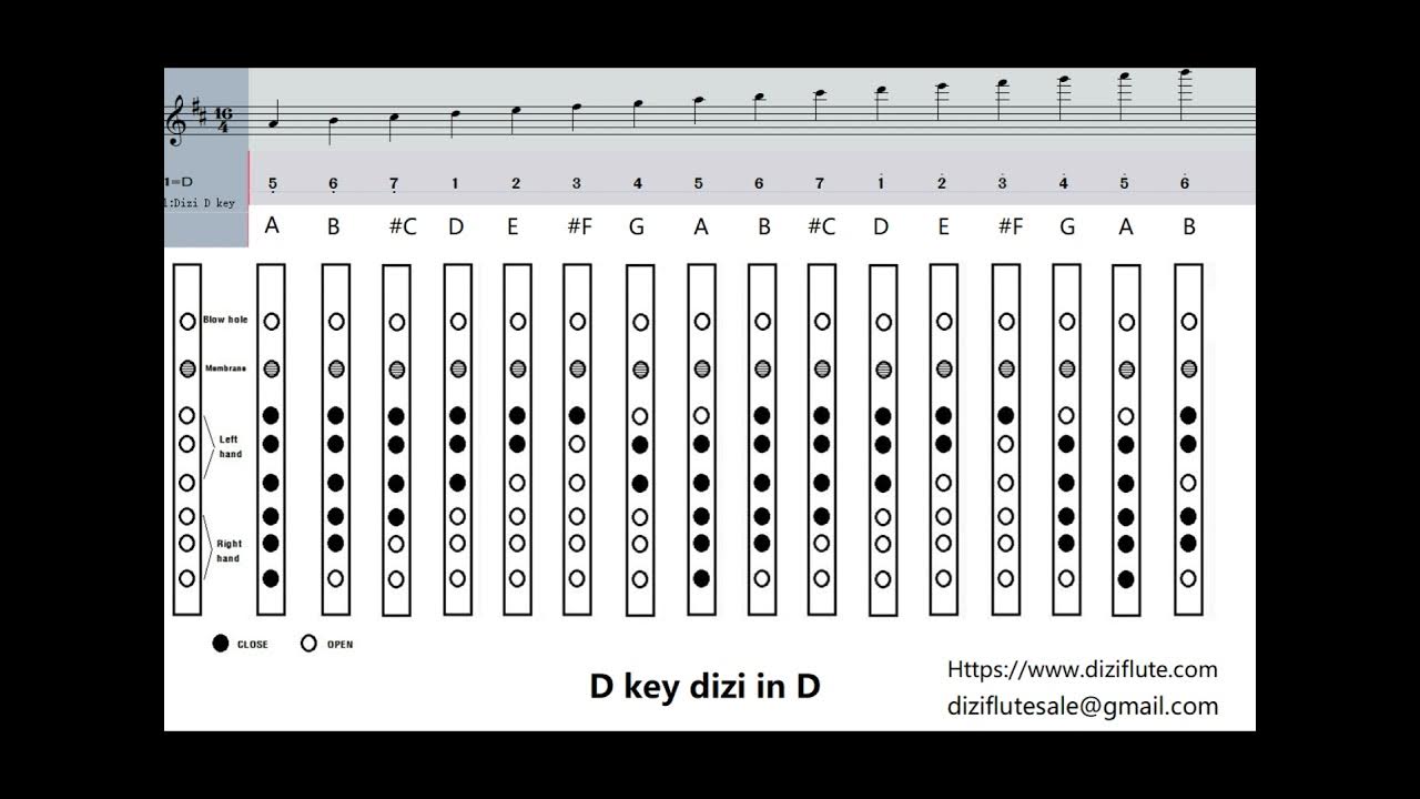 Basic finger chart C D E F G key dizi flute 中国竹笛基础指法表CDEFG调 Dan Tang