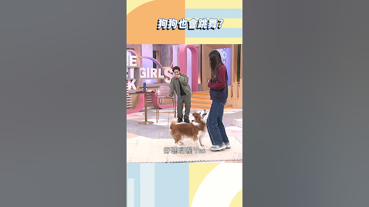 狗狗也會跳舞？【#小姐不熙娣】#shorts