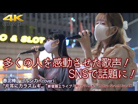 【 驚愕の歌声 】路上で多くの人を感動させた歌声！SNSで話題に！　春泥棒 / ヨルシカ（cover）" 片耳にカラスムギ。" 2022.5.30 海老名路上ライブ  4K映像