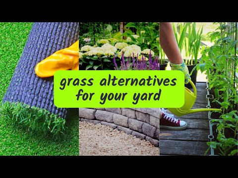 Alternatives to Grass