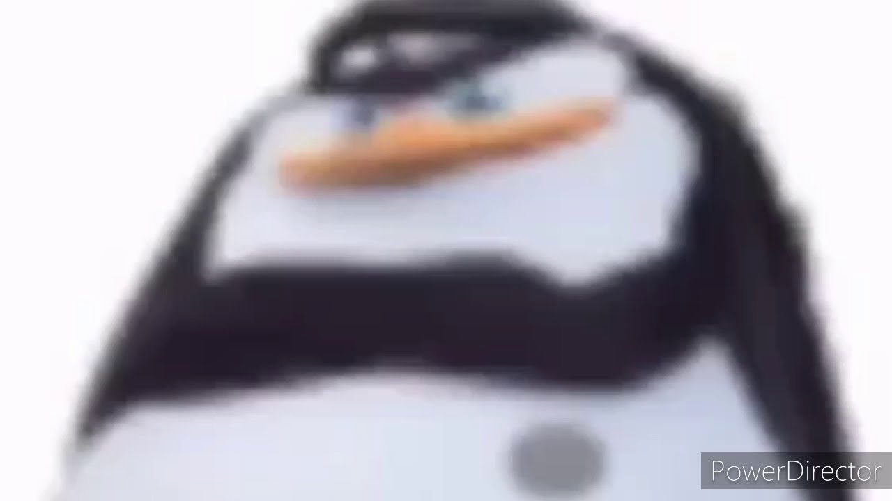 mr skipper - YouTube