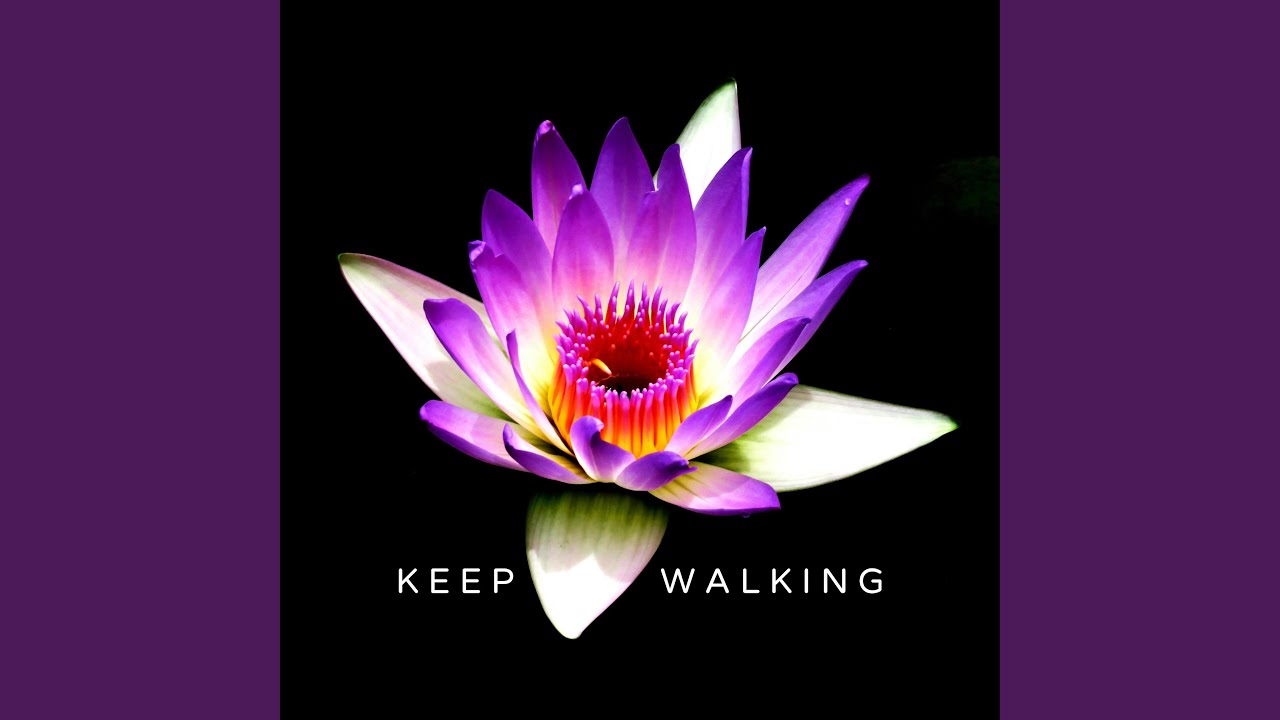 Watch Keep Walking (Instrumental) on YouTube Watch Keep Walking (Instrumental) on YouTube