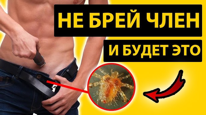 Бритье и Попа: истории из жизни, советы, новости, юмор — Горячее, страница 2 | Пикабу Бритье и Попа: истории из жизни, советы, новости, юмор — Горячее, страница 2 | Пикабу