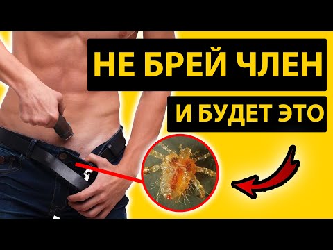 ПОЧЕМУ МУЖЧИНА ОБЯЗАН БРИТЬ ЧЛЕН. Как брить лобок