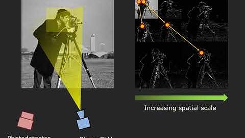 Wavelet Tree Parsing with Freeform Lensing [ICCP 2019]