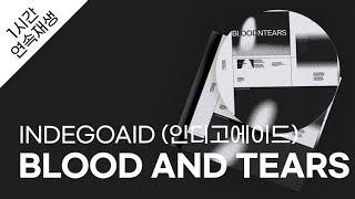 INDEGOAID (인디고에이드) - BLOOD AND TEARS 1시간 연속 재생 / 가사 / Lyrics by Code Daily Playlist #코데플 67 views 7 days ago 1 hour