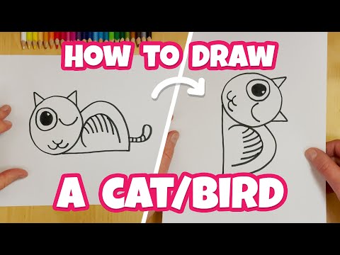 How to Draw an Easy Optical Illusion: A Cat/Bird - Easy Drawing for Kids & Beginners | Otoons.net