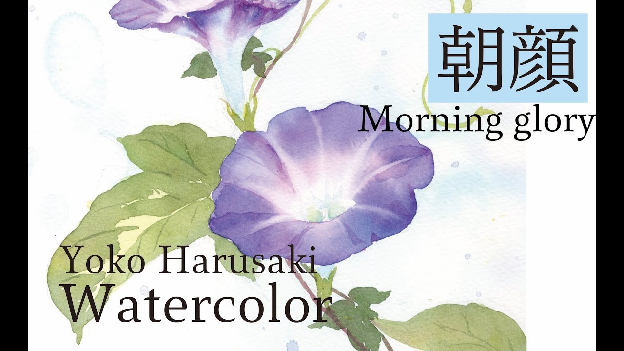 Yoko Harusaki 水彩画 シンプルに描く朝顔の描き方 Morning Glory ３色で描く水彩画 Painting With Three Colors Youtube