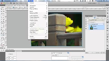 Fireworks CS5: Mask Groups