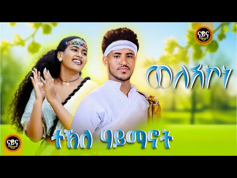 Teklehaymanot Kinfe New Tigrigna Music 2025 Official Video