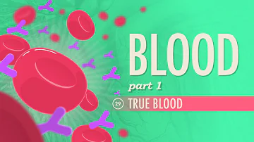 Blood, Part 1 - True Blood: Crash Course Anatomy & Physiology #29