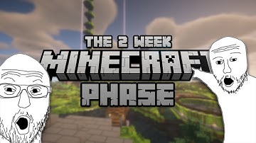 The 2-Week Phase | Why Minecraft Servers Always Die