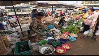 Laos Market - wilds food and local food Savannakhet  , Laos 2018