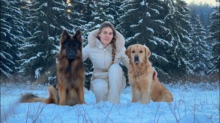 LIVE Winter Fun With Our Dogs Q&A