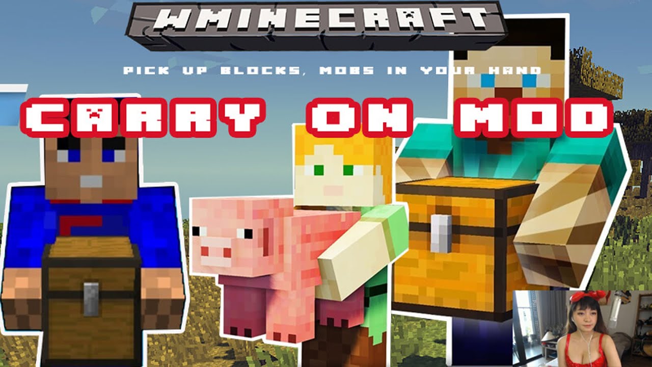 Carry On Mod 1 16 5 1 15 2 1 14 4 Pick Up Blocks And Carry Them Easily