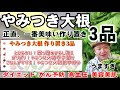 【やみつき大根3品】大根丸ごと1本使い切り！ぽりぽり大根の辛子漬け、豚肉と大根の旨辛炒め、葉のからし和え(無限大根 作り置きレシピ 常備菜 大根大量消費)