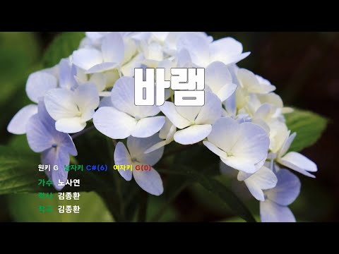 [은성반주기] 바램 - 노사연 /MR/가사