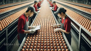 Amazing Secrets of How Americans Produce 97.3 Billion Eggs Annually - Chicken Farming Documentary