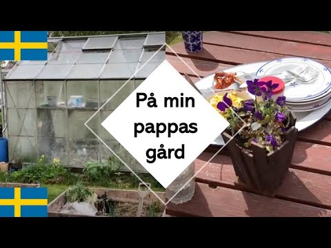 Video: Blomvuurwerke By Hul Somerhuisie