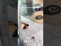 TRICKY HILARIOUS DOGS🐕 #shorts