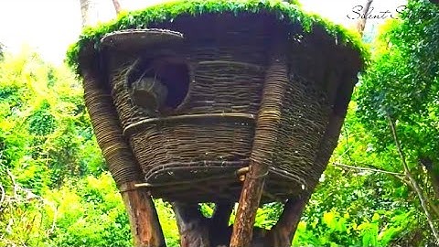 Building a 3 Story Treehouse With Bare Hands in the Wild – Real or Just a Dream?