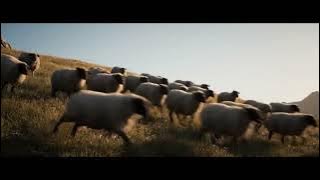 b7424655 4de7 437d a3f9 0e62c8ab1be5