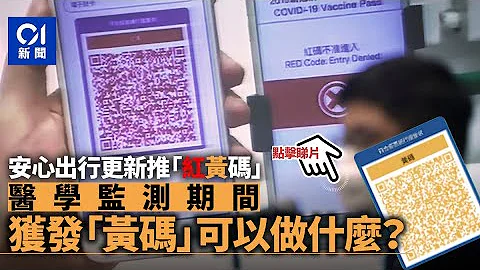 安心出行更新套用红黄码　暂只适用入境人士　未扩至密切接触者｜01新闻 - 天天要闻