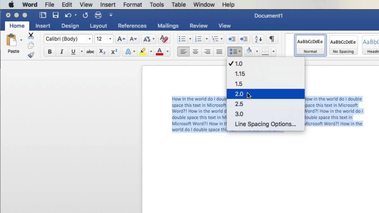 how to double space an essay in word