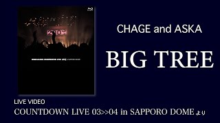 [LIVE] BIG TREE / CHAGE and ASKA / COUNTDOWN LIVE 03-04 in SAPPORO DOME