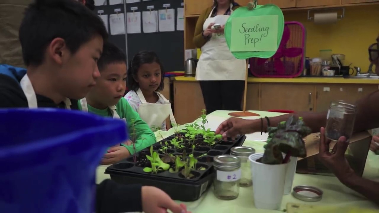 The Good Food Machine gets growing