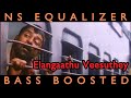 Elangaathu veesuthey song pidhamagan songs bass boostedilaiyaraja songs ns equalizer