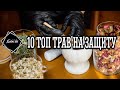 10 топ трав на защиту в магии.  Травы в свечах на защиту. / Магия трав