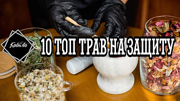10 топ трав на защиту в магии.  Травы в свечах на защиту. / Магия трав