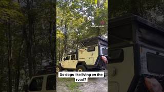 Nomad dog loves living in her Truck Camper