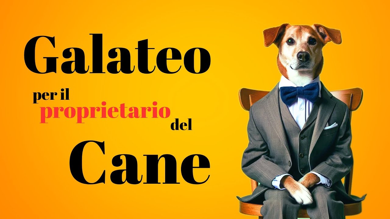 Le Regole Essenziali di Buona Educazione per i Proprietari di Cani